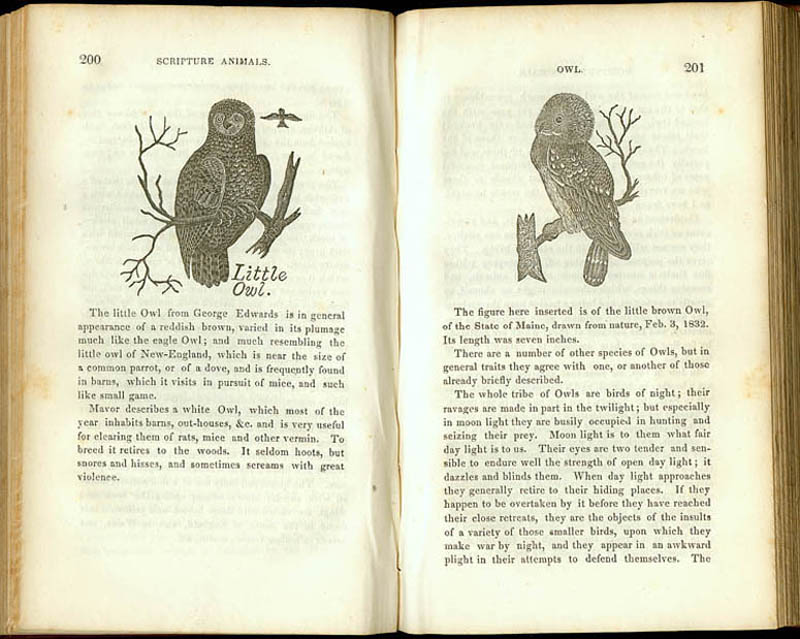 Jonathan Fisher, ure Animals, or, Natural History of the Living Creatures Named in the Bible, Written Especially for Youth. Portland, Me.: William Hyde, 1834.