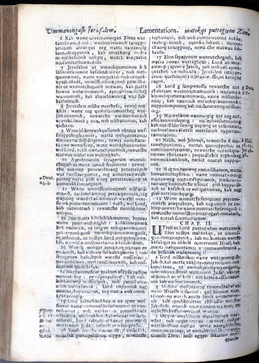 John Eliot, Mamusse wunnutupanatamwe up-Biblum God naneeswe nukkone testament kah wonk wusku testament = The Holy Bible: containing the Old Testament and the New, translated into the Indian language ... at the charge, and with the consent of the Corporation in England for the Propagation of the Gospel amongst the Indians in New-England. Cambridge [Mass.]: Printed by Samuel Green and Marmaduke Johnson, [1661]-1663.