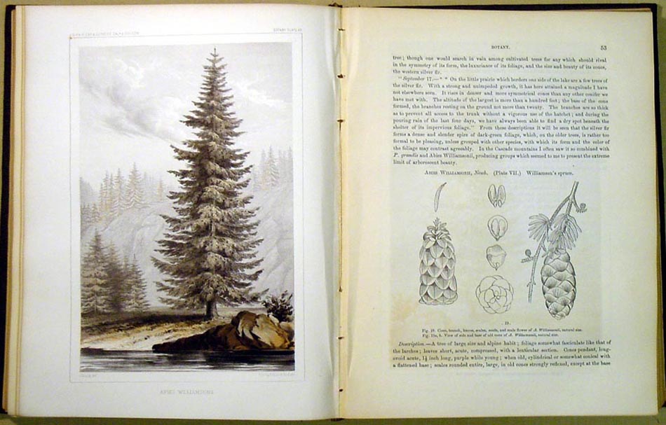 [Pacific Railroad Surveys], United States, War Dept., Reports of Explorations and Surveys to Ascertain the Most Practicable and Economical Route for a Railroad from the Mississippi River to the Pacific Ocean ... 1854-5. Vol. VI.: 'Explorations ... from the Sacramento Valley to the Columbia River.' Washington, D.C.: B. Tucker, printer, 1857.