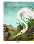 Pages-from-Bowdoin-Vol89-No1-Fall17-Issuu1_Page_1
