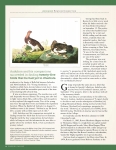Pages-from-Bowdoin-Vol89-No1-Fall17-Issuu1_Page_5