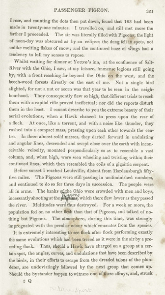 Account of Passenger Pigeon.