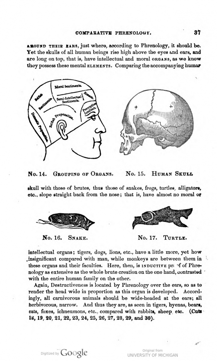 O.S. and L.N. Fowler’s "The Illustrated Self-Instructor in Phrenology and Physiology" (New York: Fowler & Wells, 1849).
